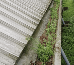 Happy customers in High Wycombe who trust The Roof Moss Cleaners for gutter cleaning services